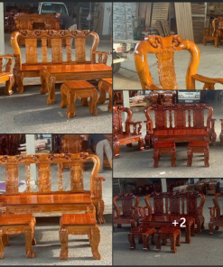Gỗ tràm bông vàng là gì ? Đặc điểm cây gỗ tràm bông vàng